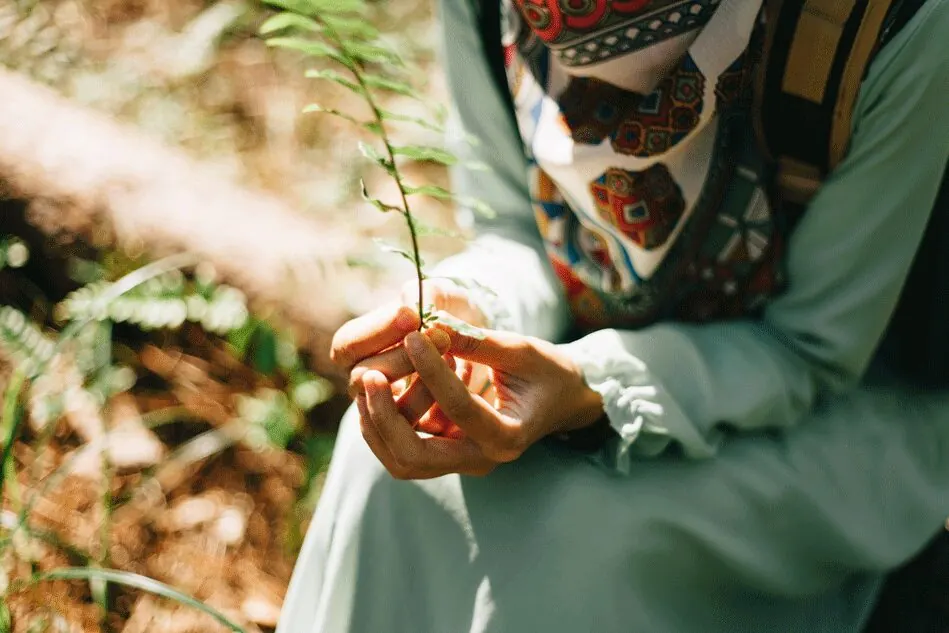 How to Use Argan Oil